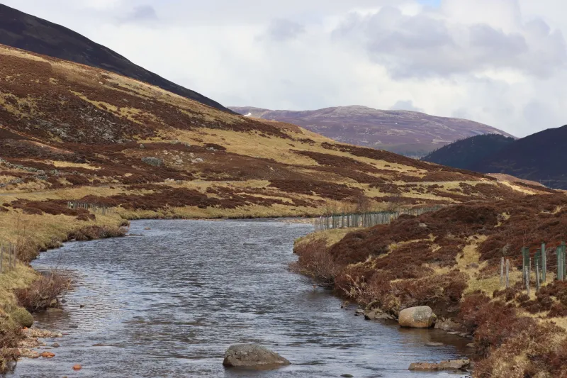 Five Compelling Reasons UK Investors Are Turning to Scottish Gold in 2025