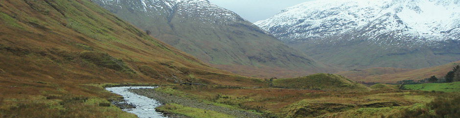 banner_DSC01413 banner_DSC01413